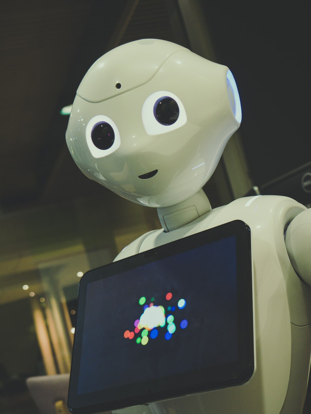 Haushaltsroboter